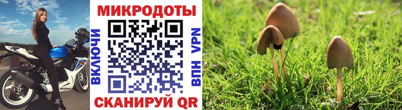 Галлюциногенные грибы MAGIC MUSHROOMS  наркошоп  darknet наркотические препараты  Щёлкино 